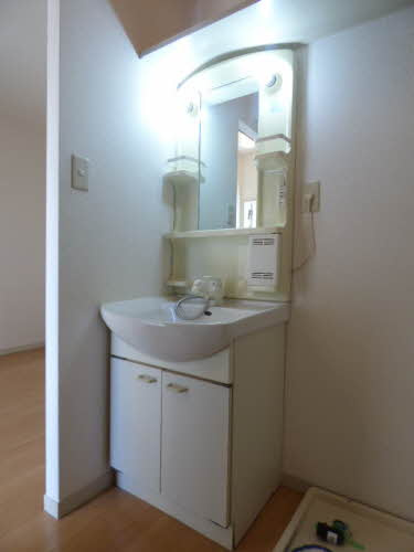 コーポウィングⅡの洗面所