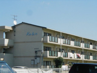 Ｋａｌｅｎの画像