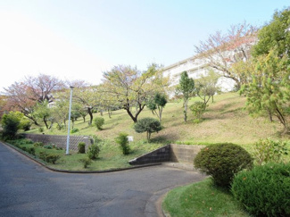 【その他共用部分】 | 建物北側植栽スペース