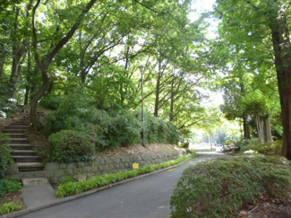 【周辺】 | 緑溢れる竹山中公園が目の前です