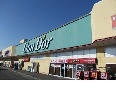 【周辺】 | ニューカマタ | リオンドール鎌田店まで450m