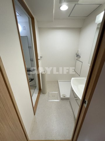 メゾンエスポアールの洗面所