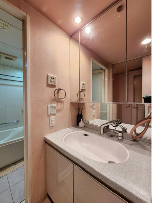 【独立洗面台】 | パルメーラ姫里