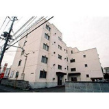 ドミ西野の画像