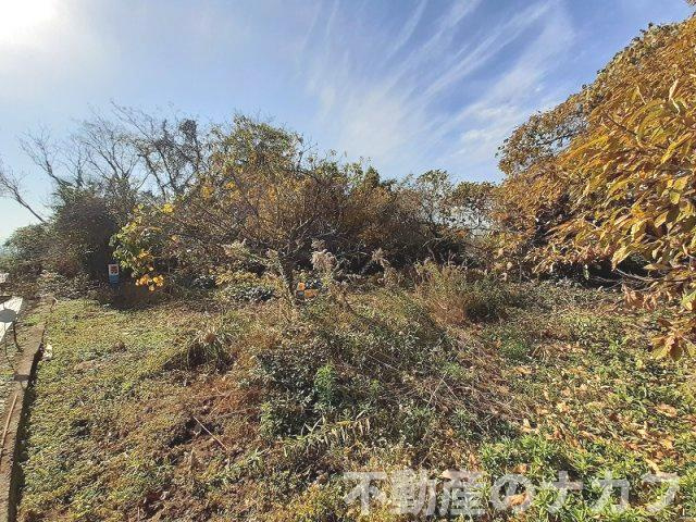 宇城市松橋町古保山の売地