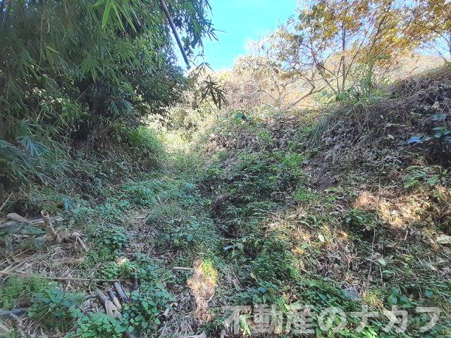 宇城市松橋町古保山の売地の外観