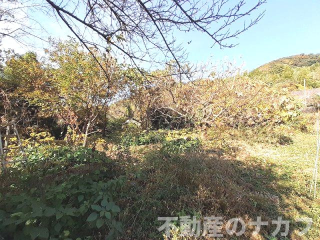 宇城市松橋町古保山の売地の周辺