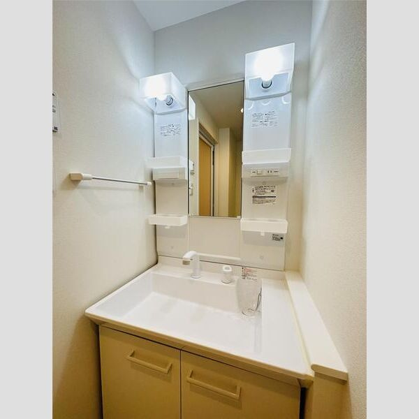 キャッスルコート土山の洗面所