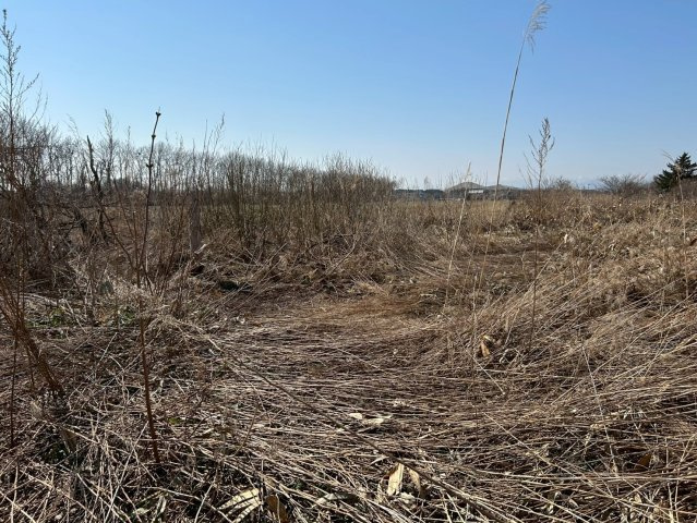 中沼町土地の外観|未造作につき使い方いろいろ♪資材置場や家庭菜園のほかアウトドア好きなあなたにぜひご検討いただきたい土地です。