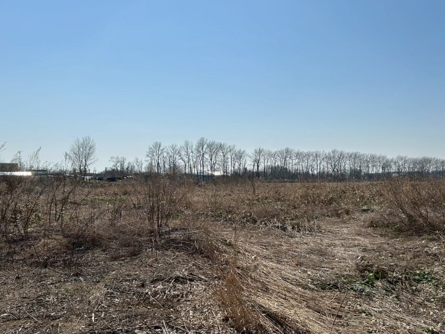 中沼町土地の外観