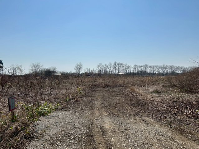 中沼町土地の外観