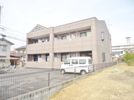 ノビオスの画像