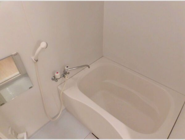 フロンティア中川の浴室