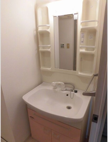 フロンティア中川の洗面所