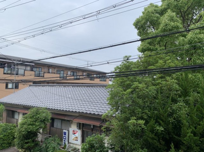 【展望】 | ホワイトアベニュー