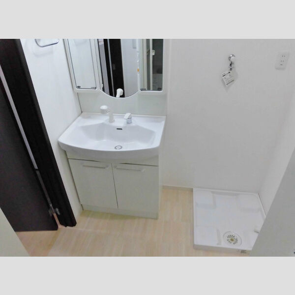 メゾンCoCoの洗面所