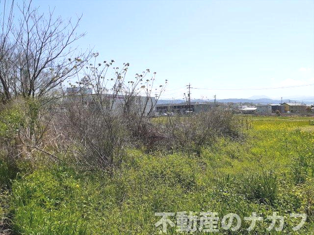 宇城市松橋町曲野の売地