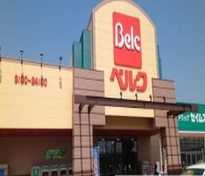 ヒカルサ北坂戸の周辺|ベルクまで260m