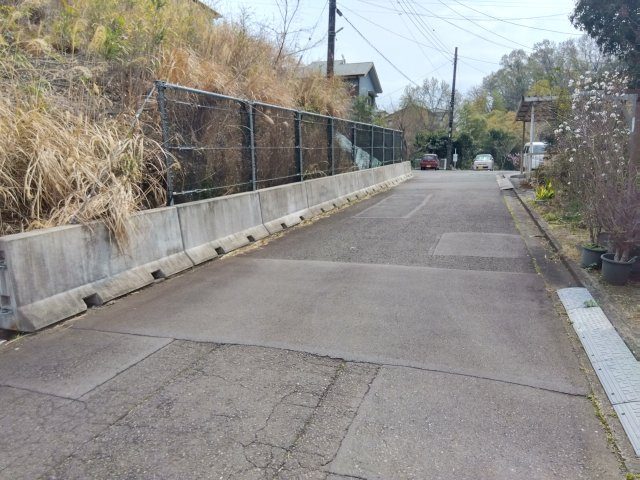 売土地　伊豆の国市南條の前面道路含む現地写真|国道136号線まで車で5分です。多方面へのアクセス良好です。