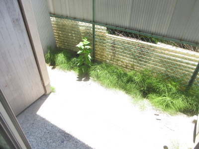 【バルコニー】 | 松栄荘 | テラス