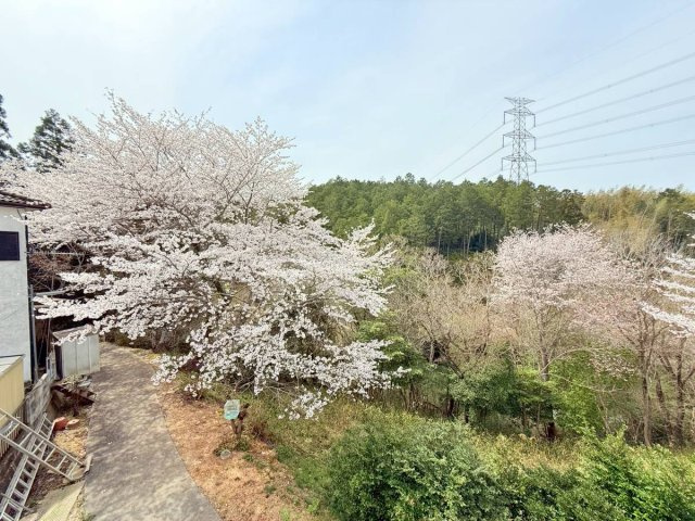 海南市七山中古戸建　2棟セット売りのその他|周辺景観