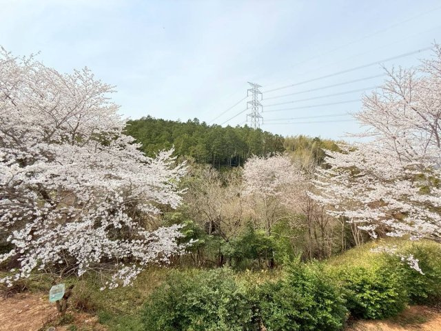 海南市七山中古戸建　2棟セット売りのその他|周辺景観