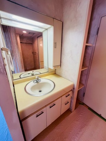 グリーンヒル新多聞305号棟の洗面所