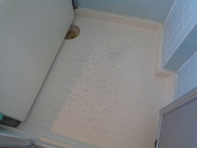 【設備】 | 西平ハイツ