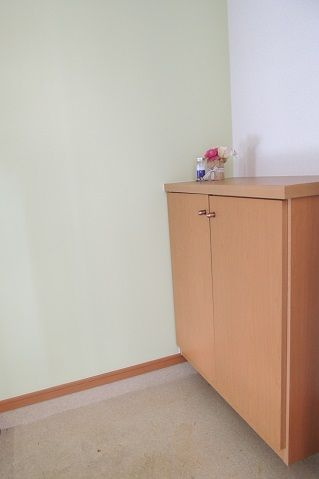 ソレイユⅡの玄関|毎日通る玄関はこちらです
