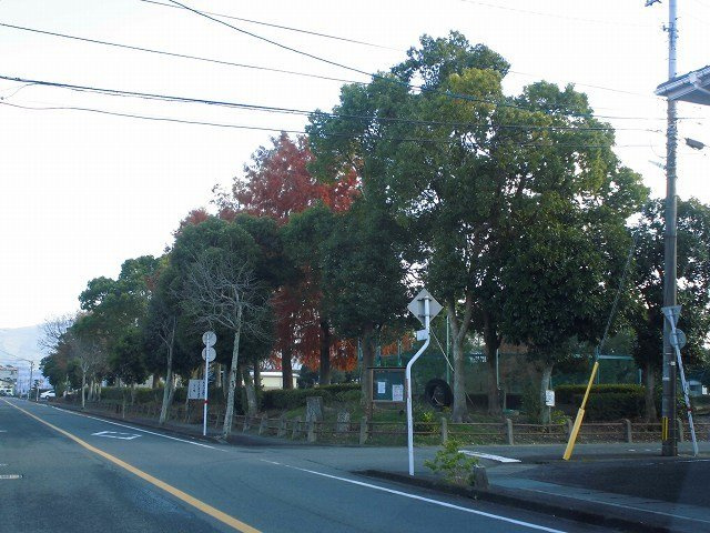 アニュー光の周辺|北部中央公園まで1550m