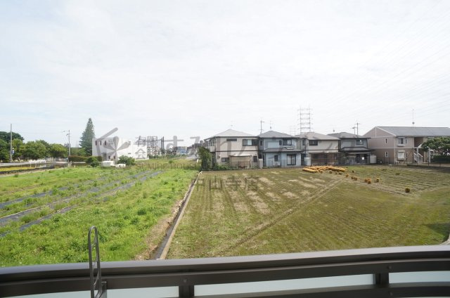 エルピスN5の展望