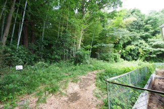 【周辺】 | 【仲介手数料無料！！】稲城市平尾2丁目　新築戸建て（全2棟）2号棟　5099万円 | 南側