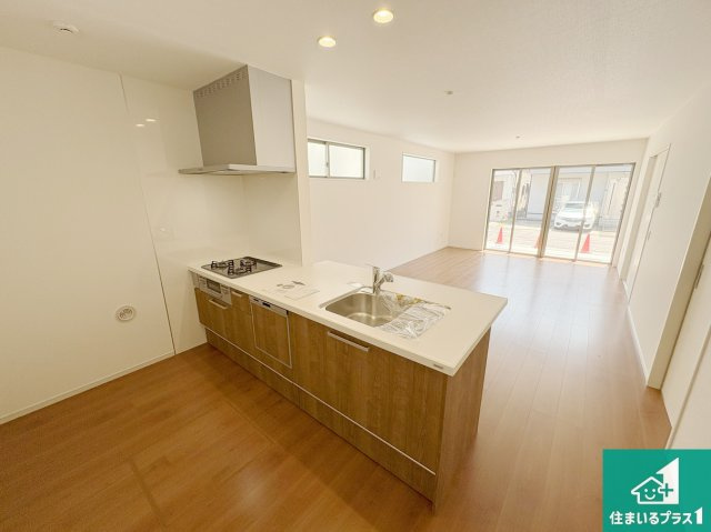 守山市下之郷　第1期　新築一戸建てのその他|スライド式の収納！浄水器付きシャワー水栓！