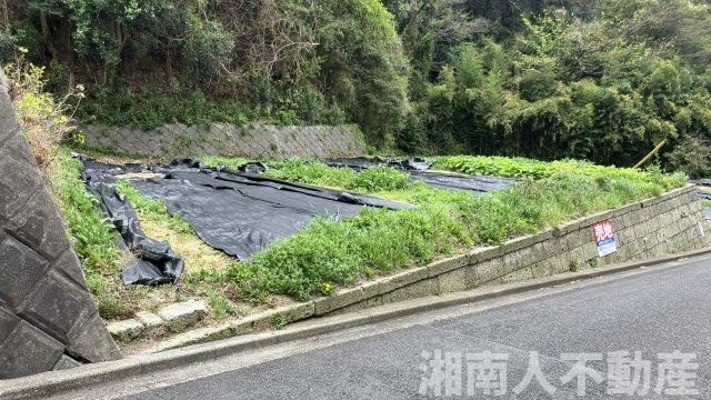 逗子市池子２丁目１６－５売地