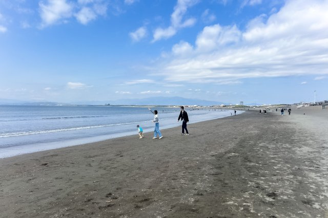 エクセラージュ片瀬江ノ島のその他