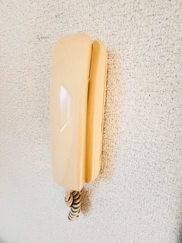 コーポテルニテⅠのセキュリティ