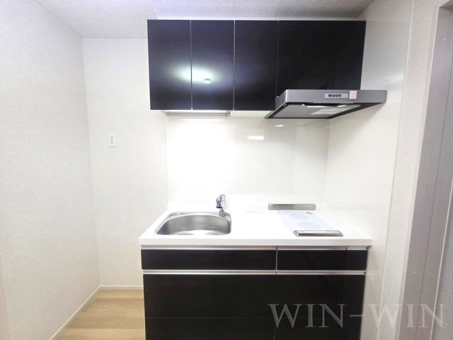 イターナル伊藤 Ⅱのキッチン|イメージ（同施工会社同一モデルの写真です）