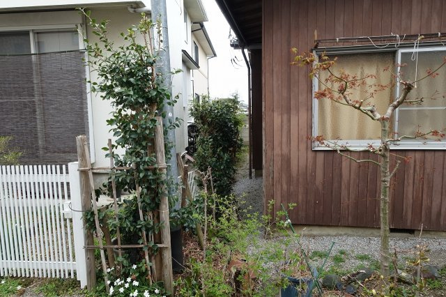 高崎市下中居町　売地の外観|西側境界を南から北方向