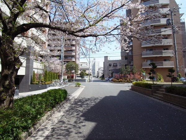 フェアロージュ葛西の周辺