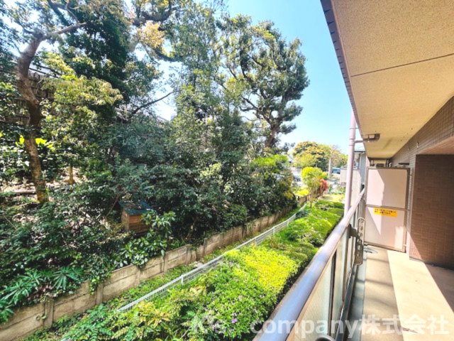 茅ヶ崎市本村4丁目　ジェームス湘南の周辺|ベランダからは緑を眺めることができます☆