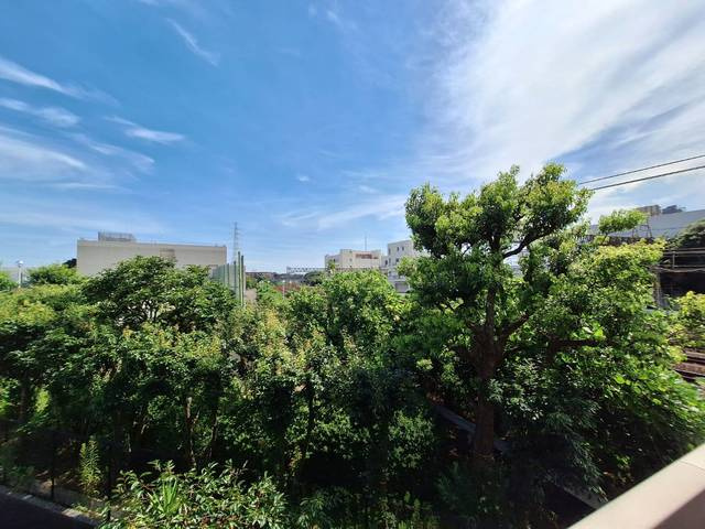 Ｒａｆｆｉｎｅ　Ｙｕｕの展望