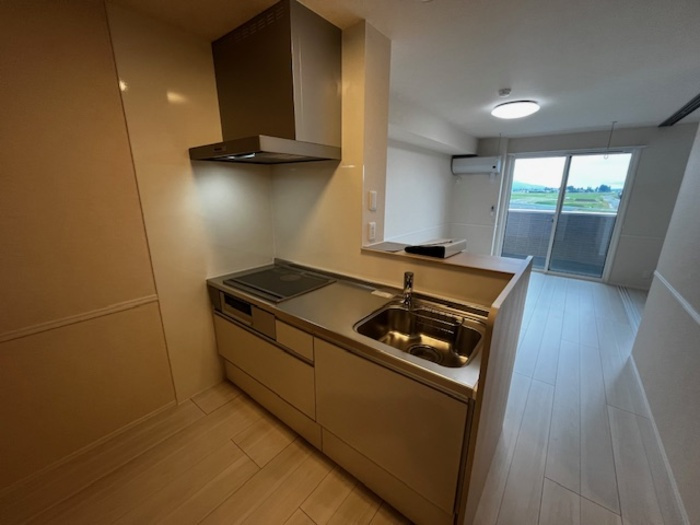 D-room姉体ⅢBのキッチン