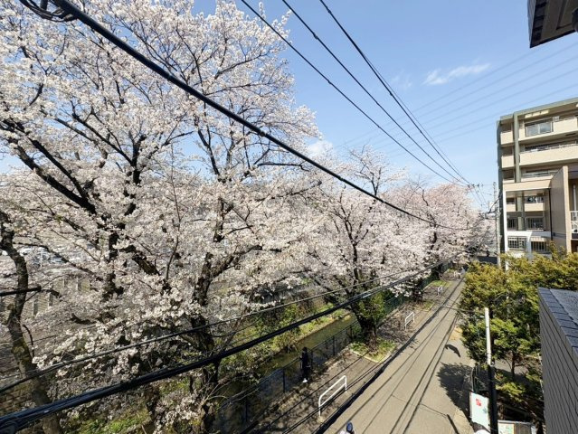 ミオカステーロ新百合ヶ丘Ⅰの画像