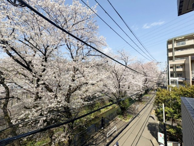 【展望】
