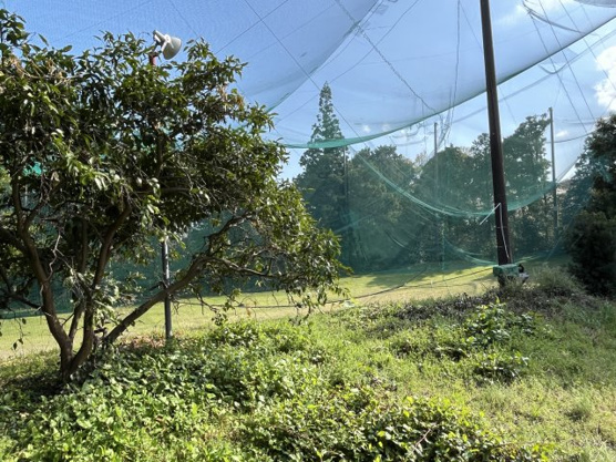 【外観】 | 伊東市富戸　売地