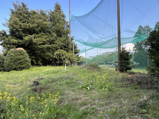 【外観】 | 伊東市富戸　売地