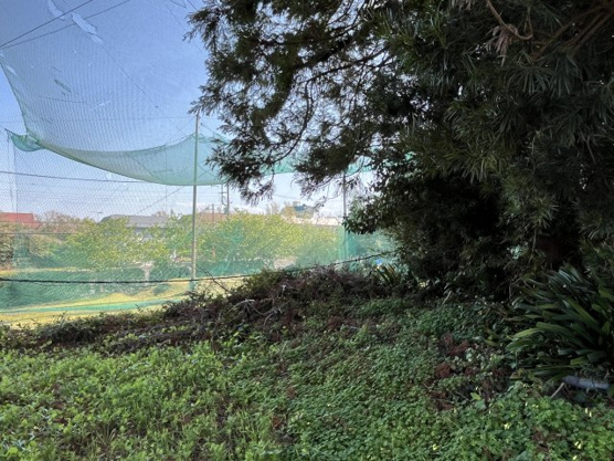 【外観】 | 伊東市富戸　売地