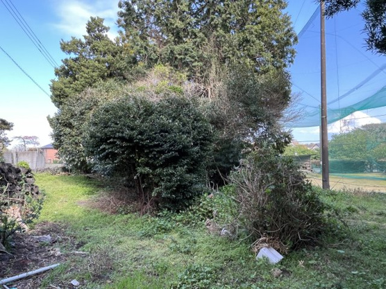 【外観】 | 伊東市富戸　売地