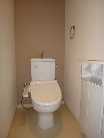 菊池郡菊陽町大字原水の賃貸マンションのトイレ|落ち着いた色調のトイレです