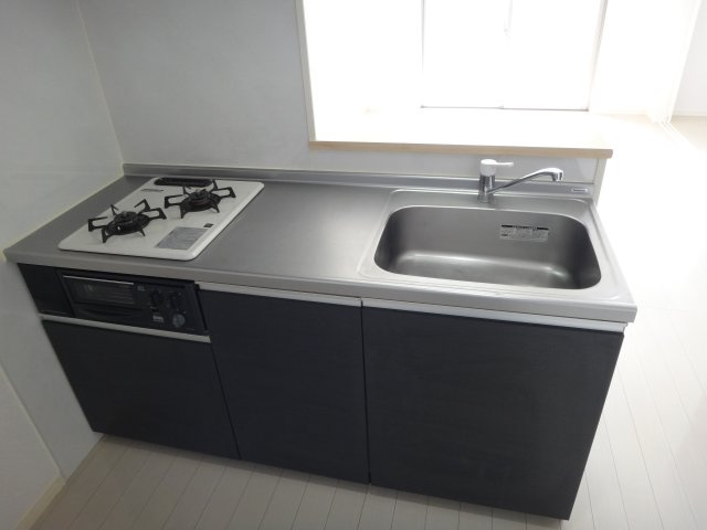 菊池郡菊陽町大字原水の賃貸マンションのキッチン|キッチンでお料理をお楽しみください